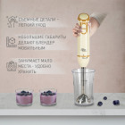 Блендер погружной ручной making Oasis everywhere BL-85W3